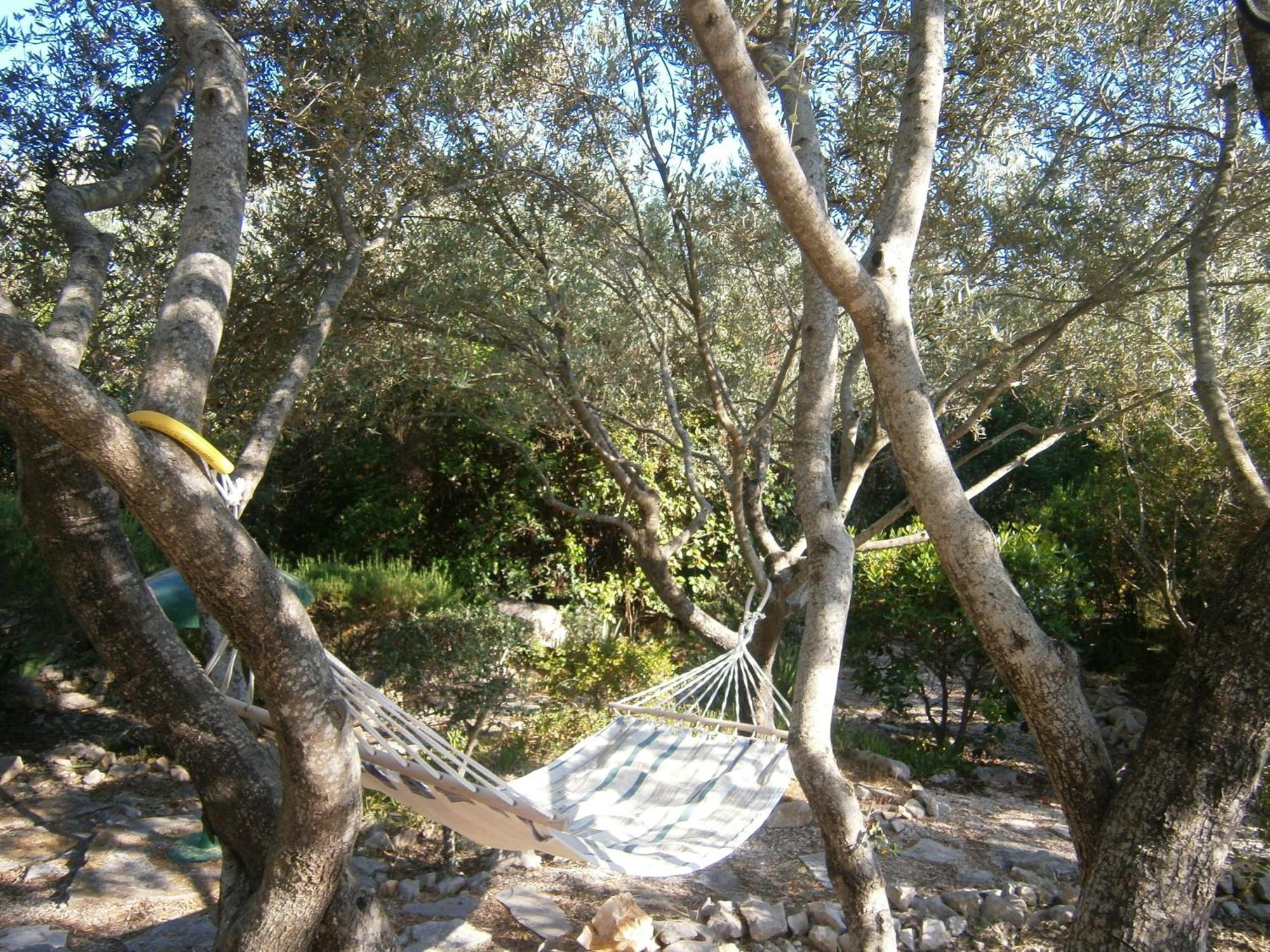 Apartments Grbin (Adults Only) Lumbarda Rom bilde